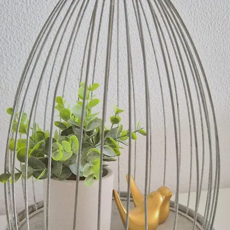 Apartment Con Piscina En La Primera Linea De Playa De *