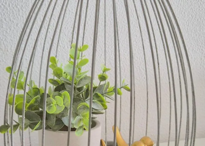 Lägenhet Con Piscina En La Primera Linea De Playa De *